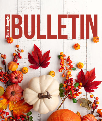 Autumn 2026