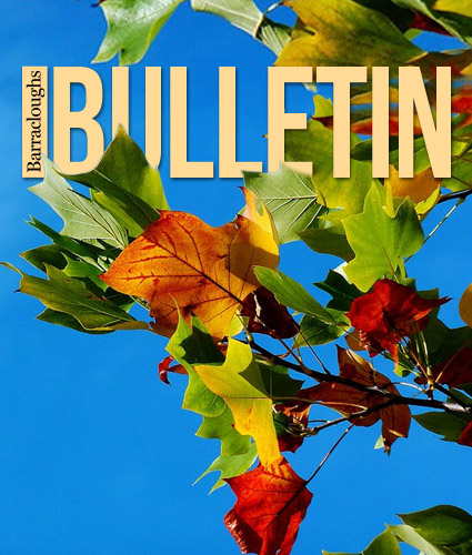 Autumn 2025